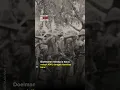 Download Lagu Gembong PKI Ingin Jadi Tentara | HISTORIA.ID