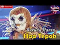 Download Lagu Haa Tepok - Burung Hantu [The Masked Singer Malaysia Musim 2]