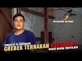 Download Lagu [ BIANG KEROK Jr BF ] Grebek Penangkar Murai Escobar !! Ternyata Ada di Surabaya dan Segini Harganya