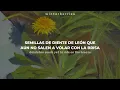 Falling Up - Will Wood Sub Espanol Ingles