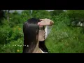 Download Lagu 超級刺激的一個人簡單露營，一次失敗的義大利麵 / Simple camping, alone, making failed pasta
