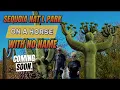 LAZY DAYS RV PARK TUCSON AZ THE ULTIMATE RV RESORT