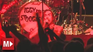 Download Iggy and the Stooges | I Wanna Be Your Dog | Live in Sydney MP3