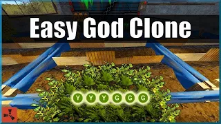 Crossbreed a God Clone the LAZY Way Rust Farm Guide