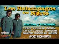 Los Relampagos Del Norte - Ramon y Cornelio (Puras Perronas)