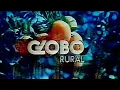 Download Lagu Globo Rural  1984, arquivos da televisão
