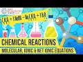 Chemistry Lesson Molecular Complete Ionic Net Ionic Equations