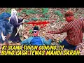 Lagu NOTO URIP TERBARU KI SLAMAT TURUN GUNUNG HAJAR BUNG LAGA TEWAS MANDI DARAH DI DEPAN MAK LAMPIR