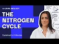 The Nitrogen Cycle Explained In 9 Minutes