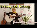 Download Lagu Petang lah petang - Lagu Daerah sumatera selatan (florentina cover)