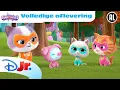 Download Lagu 🐷 Dansend Biggetje | Super Katjes | Volledige Aflevering | Disney Junior BE