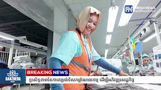 ប្រសិទ្ធភាពនៃការ​តម្រង់ទិសកម្លាំង​ពលកម្ម ដើម្បីអភិវឌ្ឍ​សេដ្ឋកិច្ច