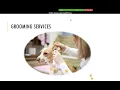 PowerPoint Module 1