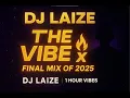 Lagu DJ LAIZE|THE VIBE X |FINAL MIX OF 2025| I HOUR OF PURE VIBES