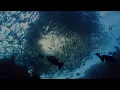 Blue Planet II Live in Concert