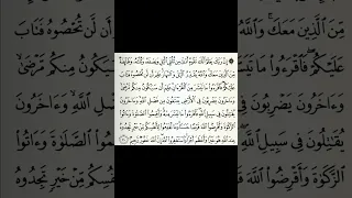 سورة المزمل علاء عقل 