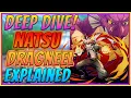 Natsu Dragneel Explained Who Is He Fairy Tail Deep Dive We The Celestials Anime Lore