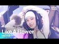 Download Lagu IRENE (아이린) - Like A Flower @인기가요 inkigayo 20241201
