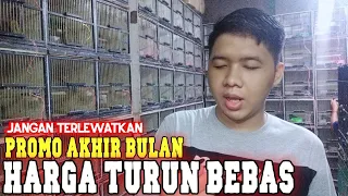 Download makin menggila harga di kios ini turun drastis harga mulai 8 ribu edisi akhir bulan MP3