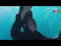 Download Lagu Lyn - Love Story ( The Legend Of The Blue Sea )