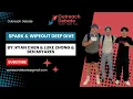 Spark and Wipeout Deep Dive Ryan Chen Luke Zhong and Ben Miyares