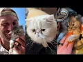 It s a family affair We rescued a whole family of cats that needed some medical help Lee Asher