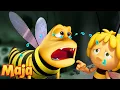 Lagu Kiedy Stinger udaje niemowlę… kto wpadnie w pułapkę?! 😳 🐝 Pszczółka Maja | Bajka dla Dzieci