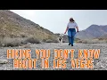 3 Hiking Trails You Haven t Heard About In Las Vegas