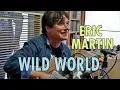Download Lagu Eric Martin - Wild World
