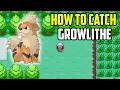 How To Get Growlithe in Pokemon FireRed LeafGreen