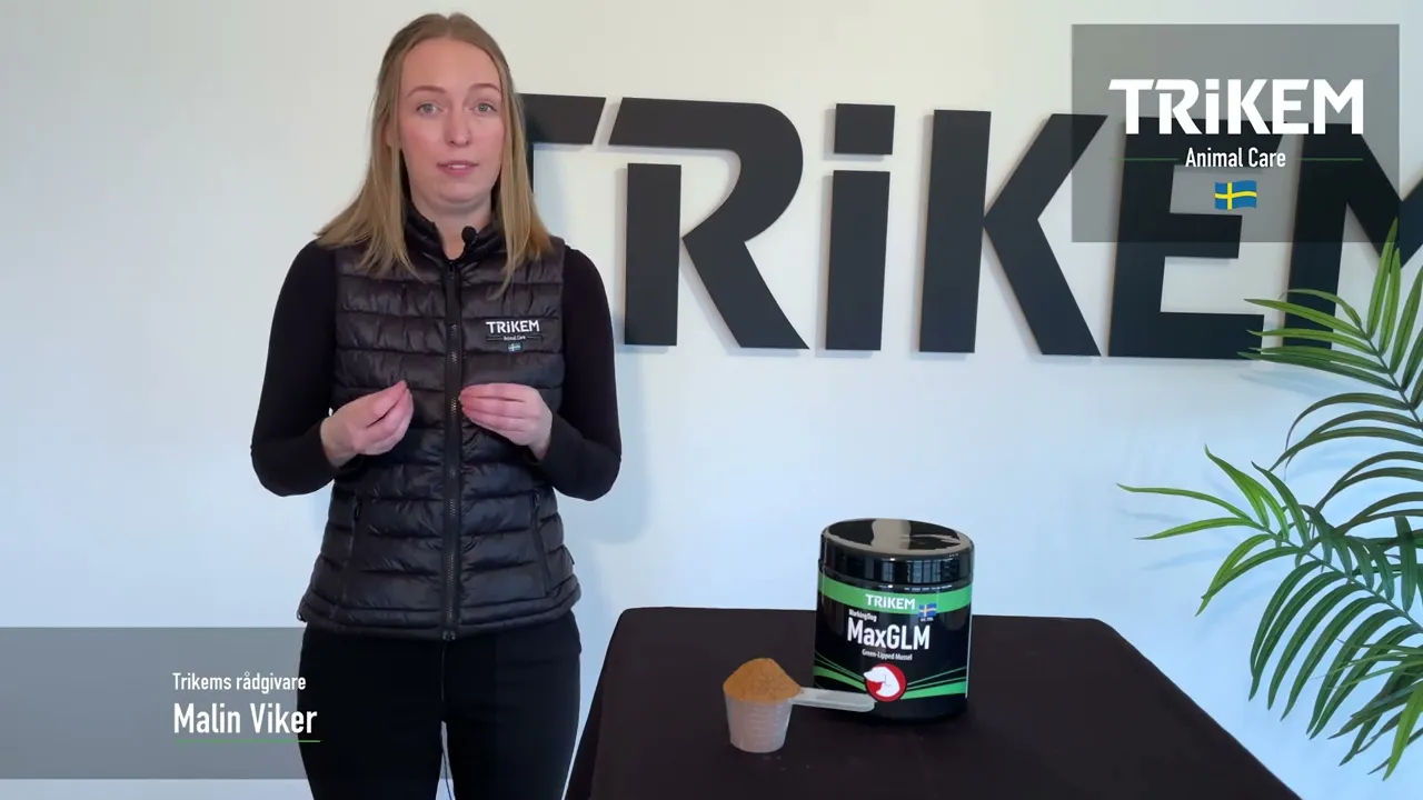 Trikem WorkingDog Max GLM Plus 450 g