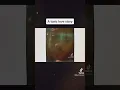 Toine G x Chxrry22 - the falls