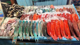 Pilih Ikan Segar Buat Makan Malam di Kuliner Malam Kampung Ujung, Labuan Bajo, NTT #live