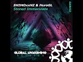 Stoned Immaculate (Radio Edit)