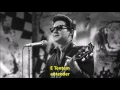 There Won’t Be Many Coming Home  - Roy Orbison (1967) Legendado