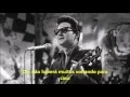 Download Lagu There Won’t Be Many Coming Home  - Roy Orbison (1967) Legendado