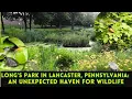 Lancaster s Best Kept Secret A Wild Urban Oasis