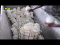 Lagu Desiccated Coconut Manufacturing Sri Lanka   YouTube
