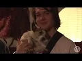 My Kind of Woman - Mac DeMarco (Live at Pitchfork - Safe For Work Stream)