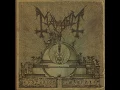 Watchers - Mayhem