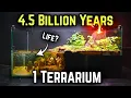 I Simulated Stages of Evolution And Extinction Events