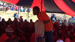phephela ha e loana ea tsabeha sefateng part 1