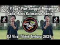 Lagu DJ GADIS MANIS KALIMANTAN FULL SONG || P. P APA? PIAN SUNGGUH MEMPESONA - SYAHRIYADI VIRAL TIKTOK 