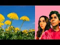 Download Lagu Dandelion x Until i found you