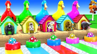 Long Slide Game with Cow Elephant Gorilla Hippopotamus Tiger 3d Animal Game Funny 3d Animals