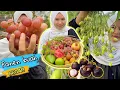 Download Lagu Petik buah-buahan dikebun | Panen buah segar
