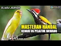 Download Lagu pelatuk bawang dan kenari