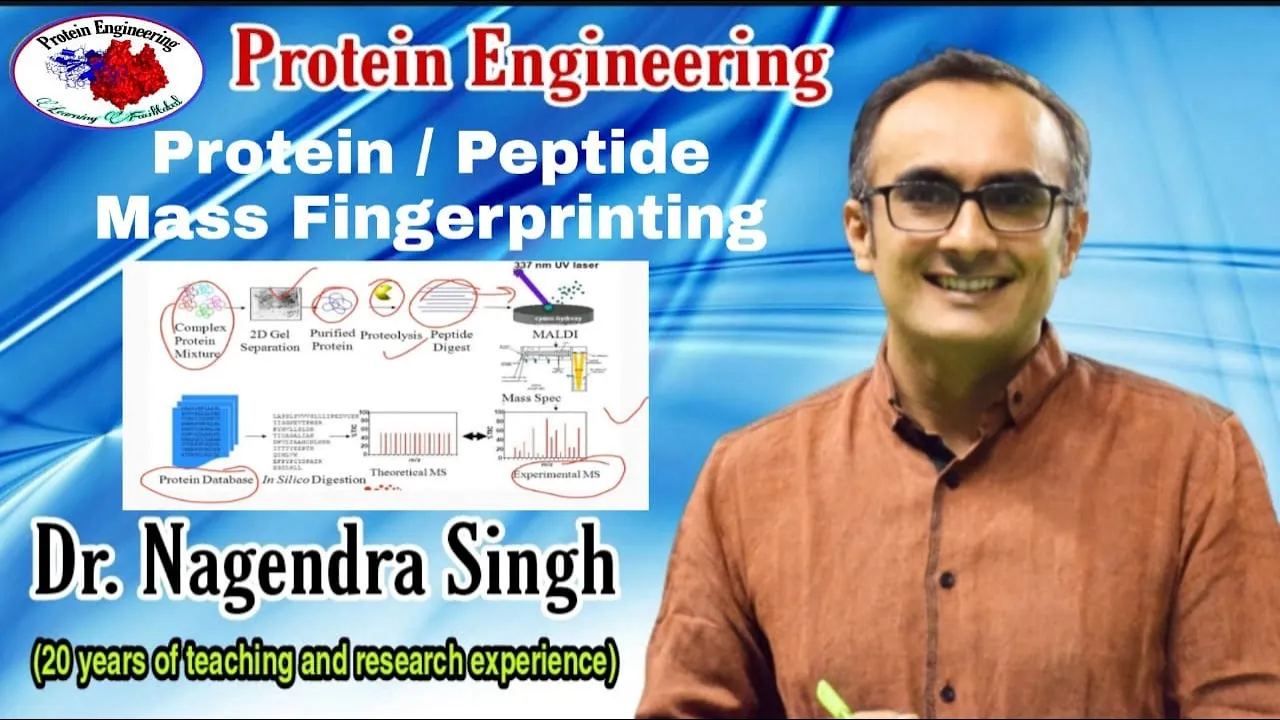 Peptide Mass Fingerprinting | Protein Fingerprinting | PMF | Protein Identification | PENS#90