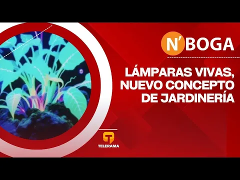 Lámparas vivas, nuevo concepto de jardinería
