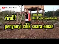 Download Lagu VIRALL!! PENYANYI CILIK SUARA TINGGI || RHOMA BOLEH SAJA COVER AHZA AZKA